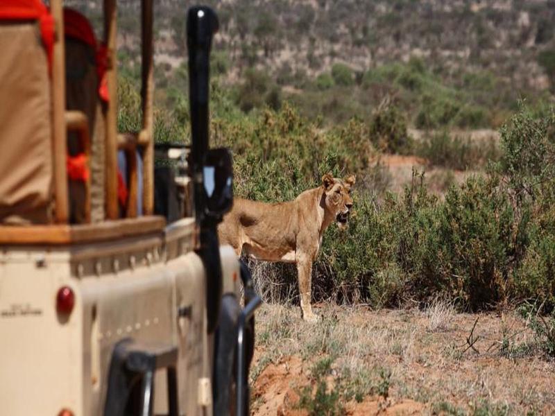 Villa Saruni Samburu Exterior foto
